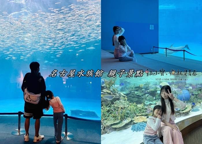 。愛知縣あいちけんGO_『親子景點。名古屋』名古屋水族館｜號稱日本最大規模水族館｜超壯觀沙丁魚、海豚虎鯨小白鯨超可愛｜優惠門票｜水族館表演時間表郭小寶‧這就是青春 - 郭小寶‧這就是青春