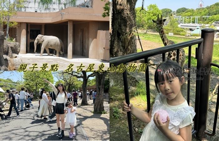 。愛知縣あいちけんGO_『親子景點。名古屋』東山動植物園、東山天空塔｜超大動植物園讓你一天玩不完｜優惠門票郭小寶‧這就是青春 - 郭小寶‧這就是青春