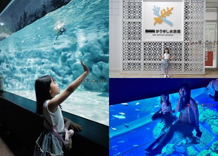 ★沖繩、石垣島、跳島おきなわけんGO_『沖繩景點』DMM Kariyushi水族館完整宮略｜優惠門票交通、餵食秀、可愛動物互動區必看重點｜親子必遊iias沖繩豐見城豐崎購物商場郭小寶‧這就是青春 - 郭小寶‧這就是青春