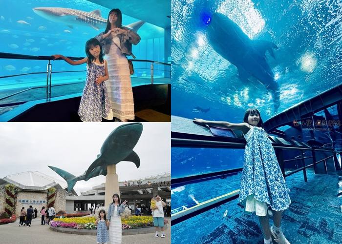 ★沖繩、石垣島、跳島おきなわけんGO_『沖繩景點』沖繩美麗海水族館指南攻略｜親子家庭必玩、優惠門票、表演時間、交通方式、明星鯨鯊海生館懶人包總整理郭小寶‧這就是青春 - 郭小寶‧這就是青春