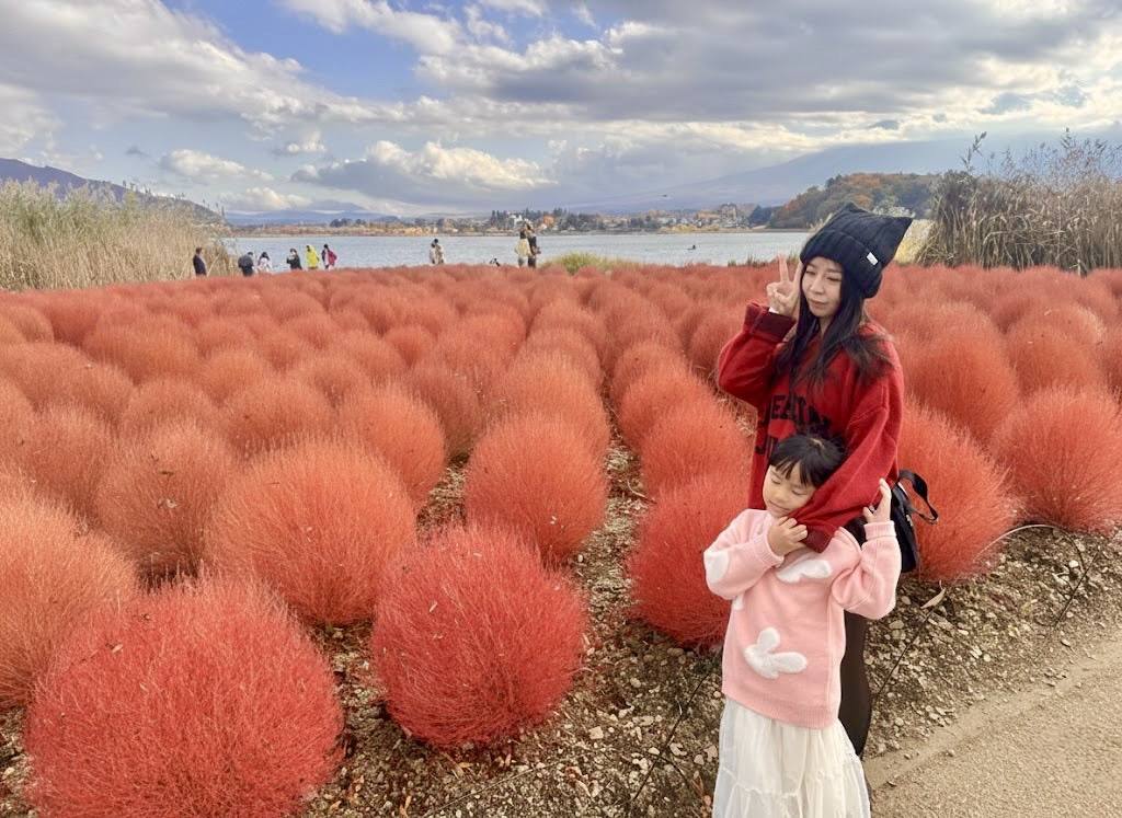 。山梨縣やまなしけんGO_『賞花景點。山梨河口湖』河口湖必訪景點大石自然公園｜花街道一年四季都有各種賞花季｜超美富士山絕景｜熱門薰衣草、波波草、火紅掃把草郭小寶‧這就是青春 - 郭小寶‧這就是青春