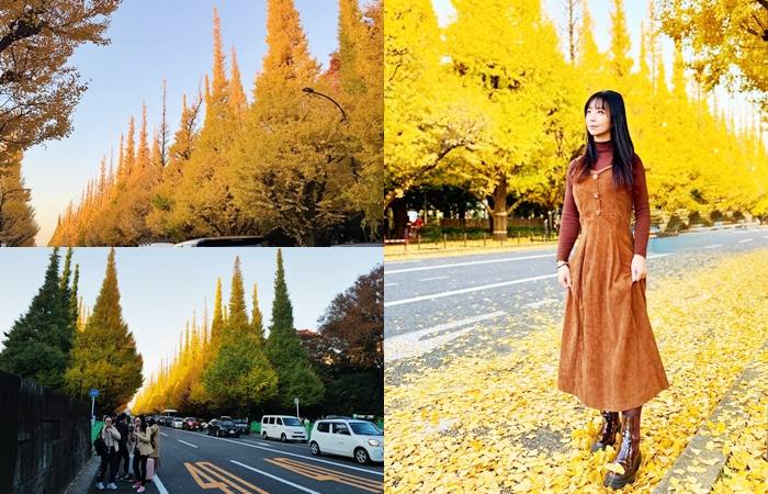 。東京大首都とうきょうとGO_『賞花景點。東京新宿』神宮外苑的金黃銀杏林道｜每年東京銀杏季節最熱門的銀杏景點｜夕陽下的療癒黃金街道郭小寶‧這就是青春 - 郭小寶‧這就是青春
