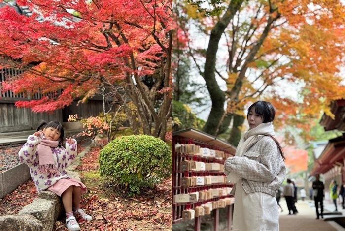 。福岡縣ふくおかけんGO_『旅遊景點。福岡太宰府』太宰府天滿宮表參道｜秋天楓葉銀杏景點｜五彩斑斕的天滿宮！郭小寶‧這就是青春 - 郭小寶‧這就是青春